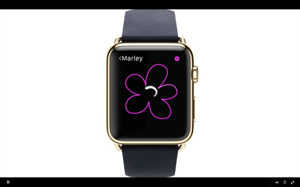 Apple Watch 20150310v248