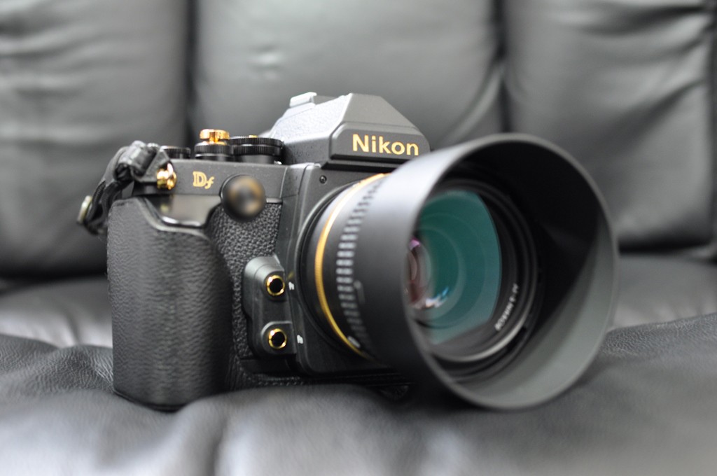 Nikon CF-DC6 (22)