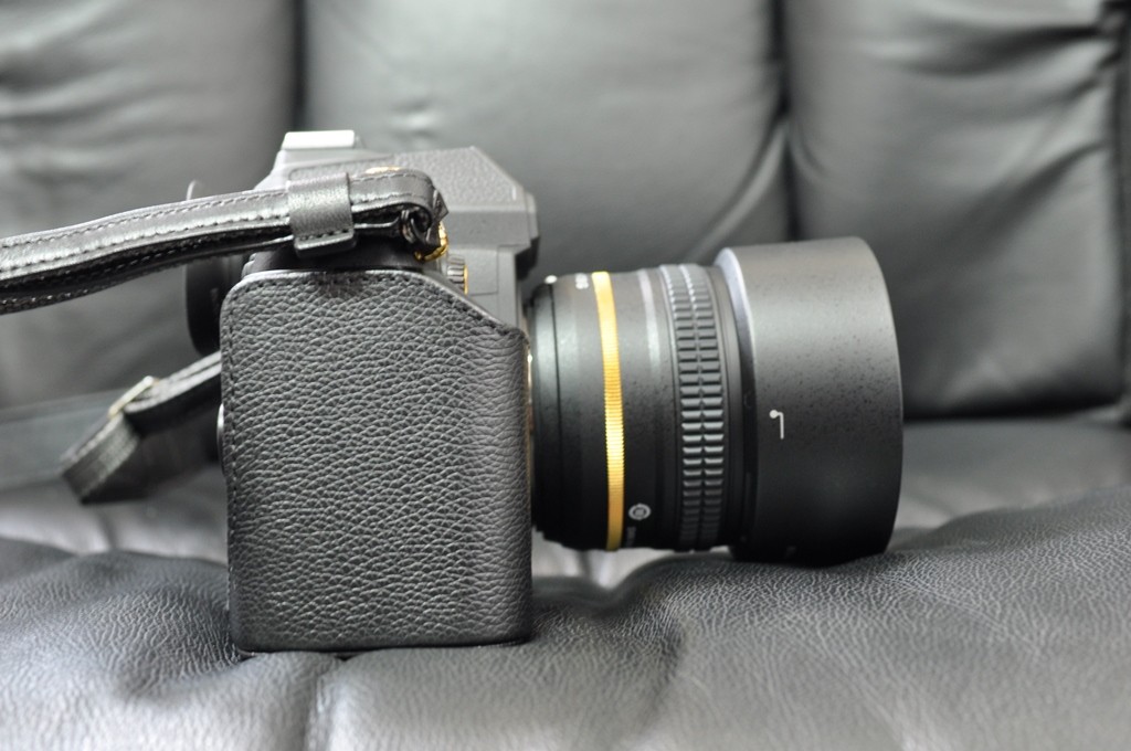 Nikon CF-DC6 (27)