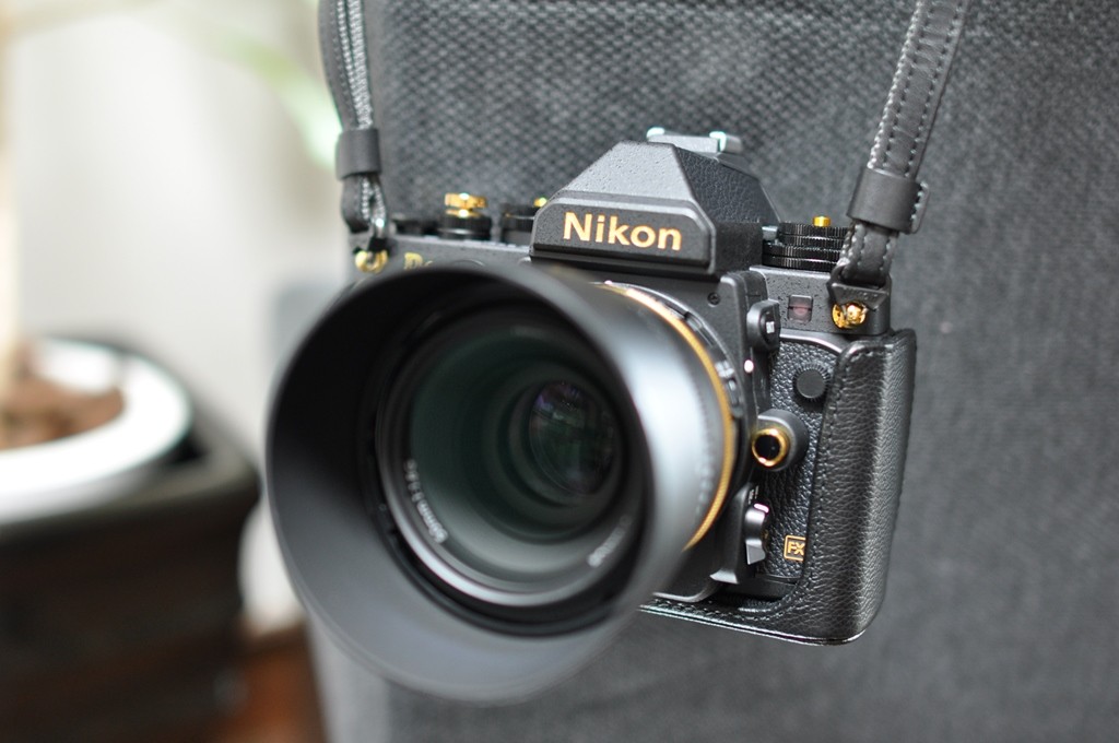 Nikon CF-DC6 (46)