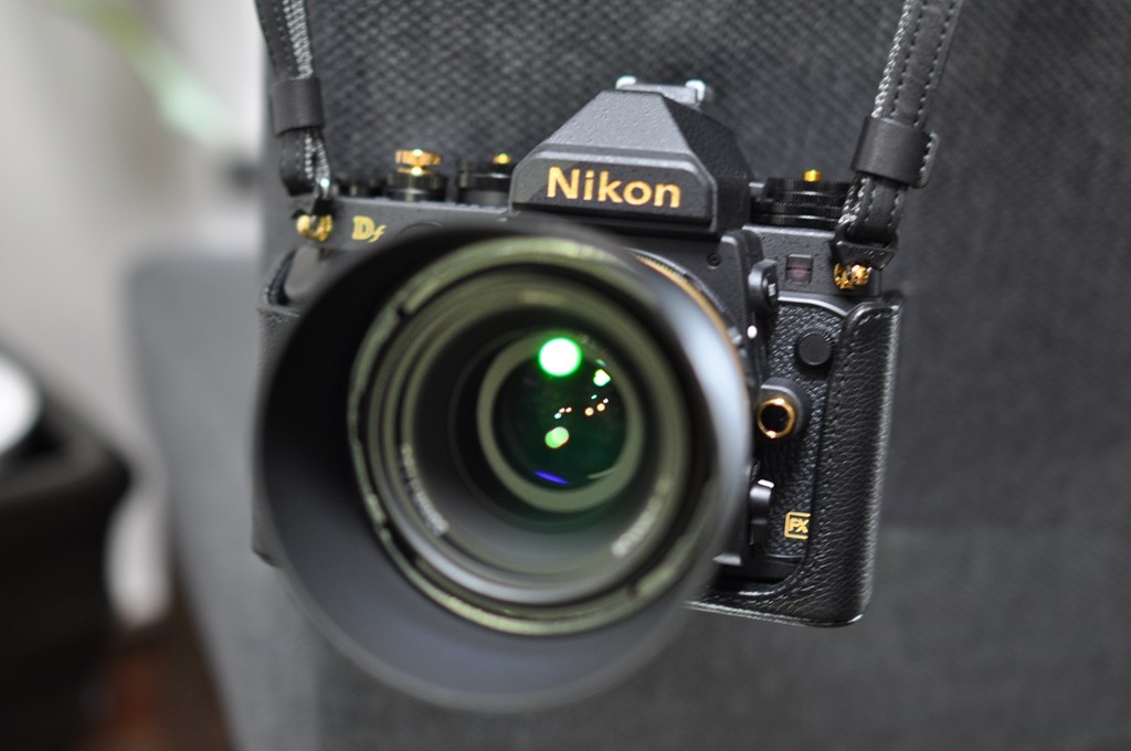 Nikon CF-DC6 (47)