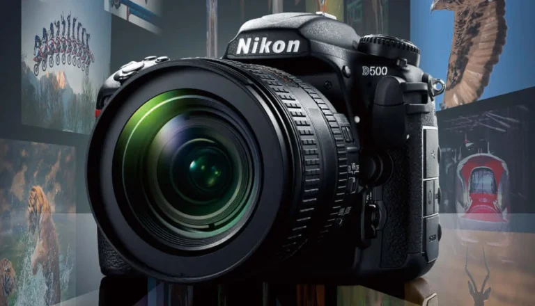 Nikon D500 生産打ち切り│Noma Labo